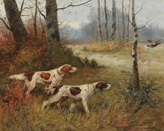 Caring for Adopted Rescue Street Dogs in India