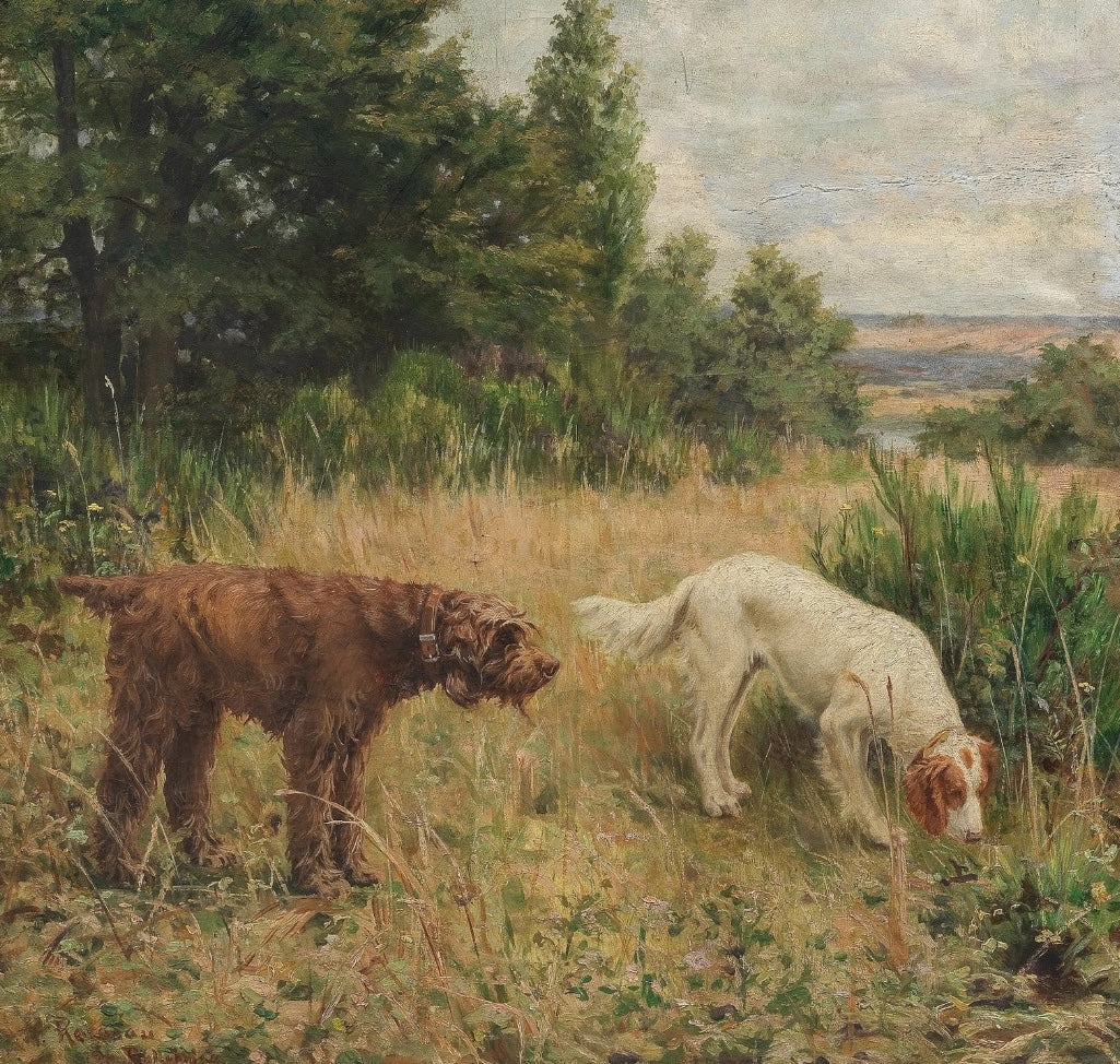 Understanding Dog Owner's Rights in India