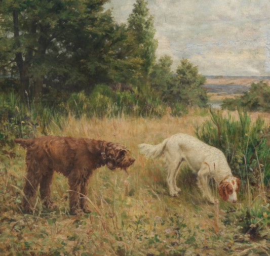 Understanding Dog Owner's Rights in India