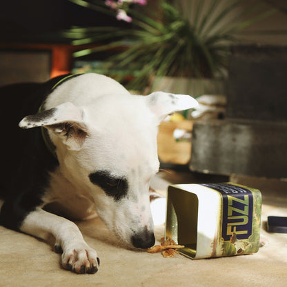 2x Combo of Truly Snacky Chicken Jerky